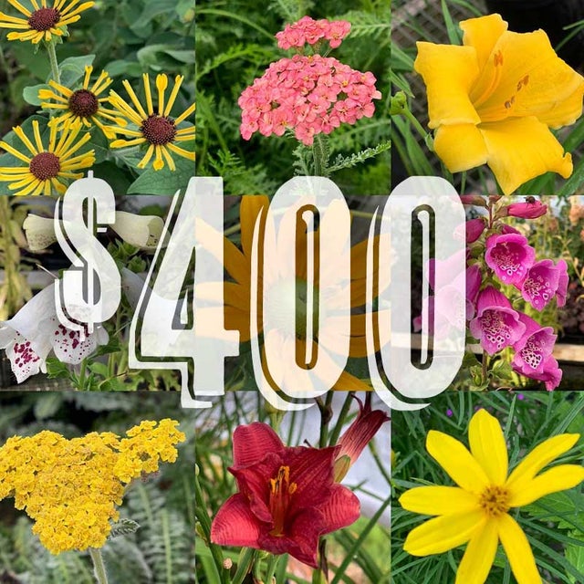 Shop Netta's Nursery Posen, Michigan