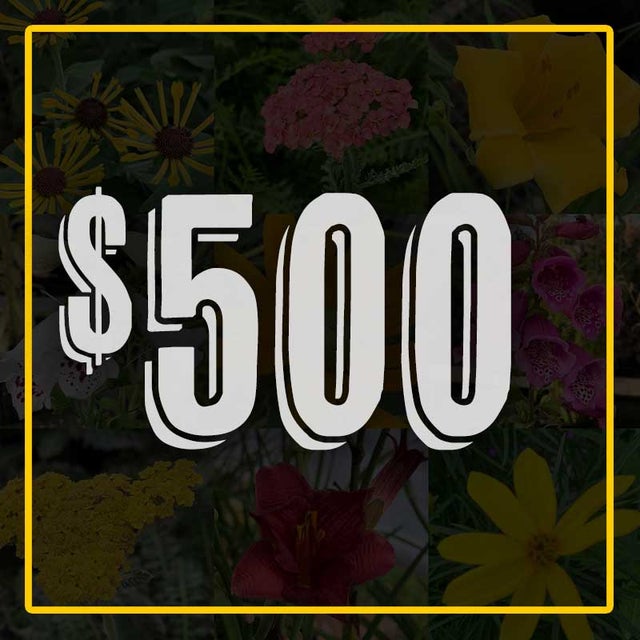 Shop Netta's Nursery Posen, Michigan