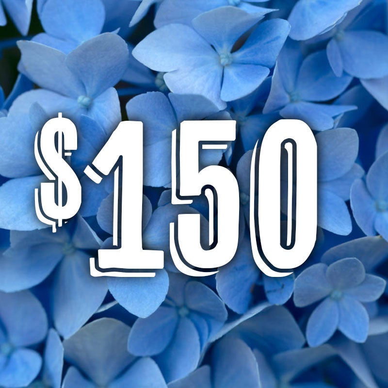 Shop Netta's Nursery Posen, Michigan